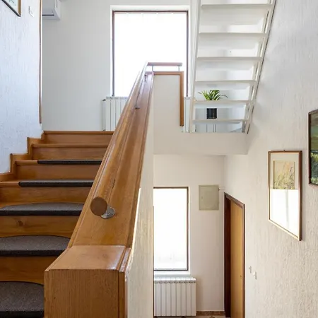 Salvia Mare 别墅 比利切