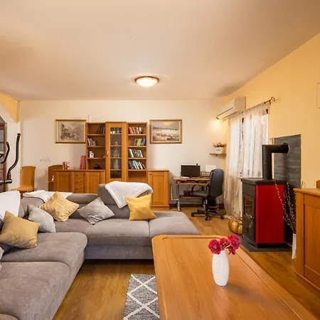 别墅 Salvia Mare 比利切